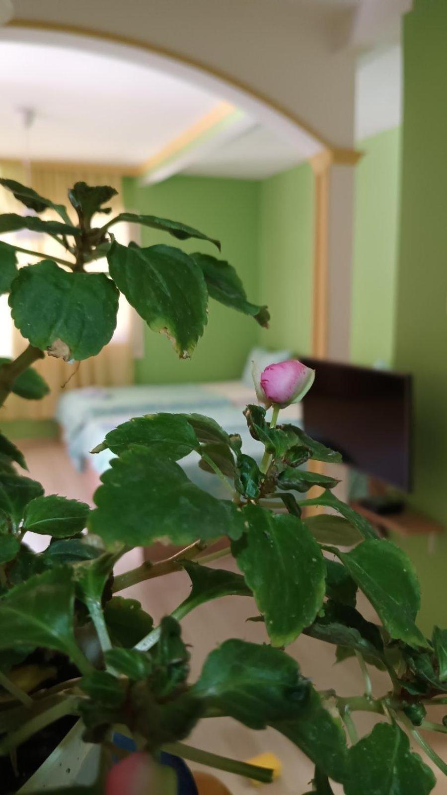 Villa Re3Ca Skopje Ngoại thất bức ảnh