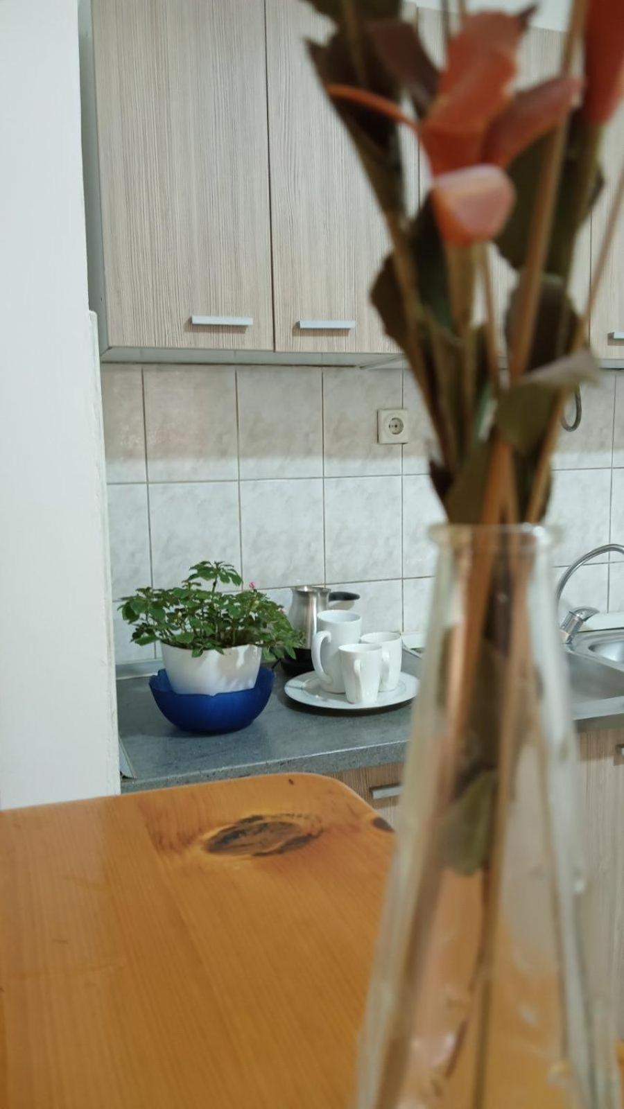 Villa Re3Ca Skopje Ngoại thất bức ảnh
